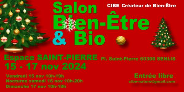 Affiche Salon de Noël Bien-être & Bio de Senlis 2024